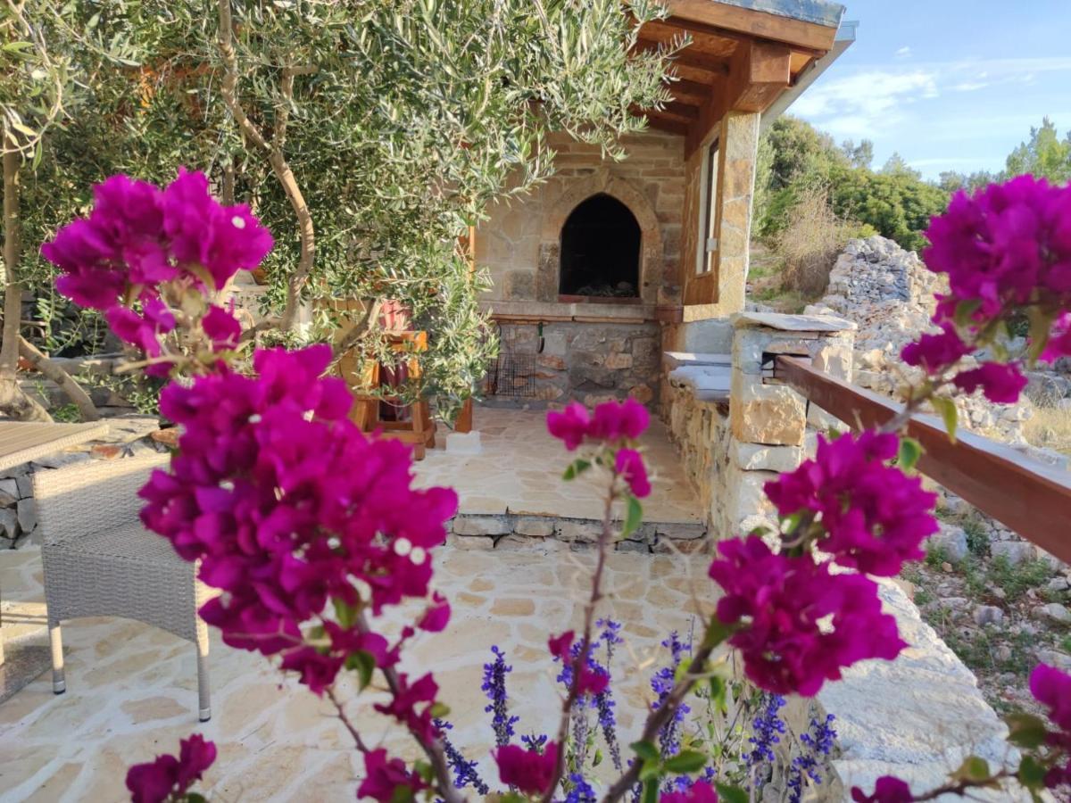 Vacation House Milka Милна Екстериор снимка